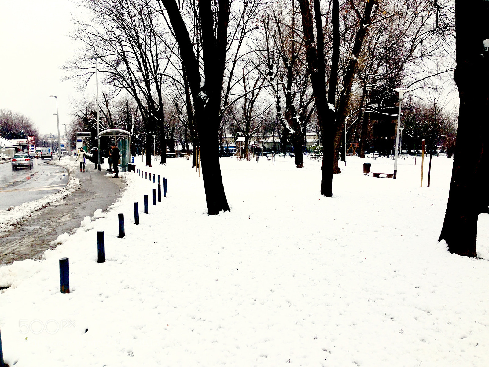 Apple iPhone 5 sample photo. Park photography