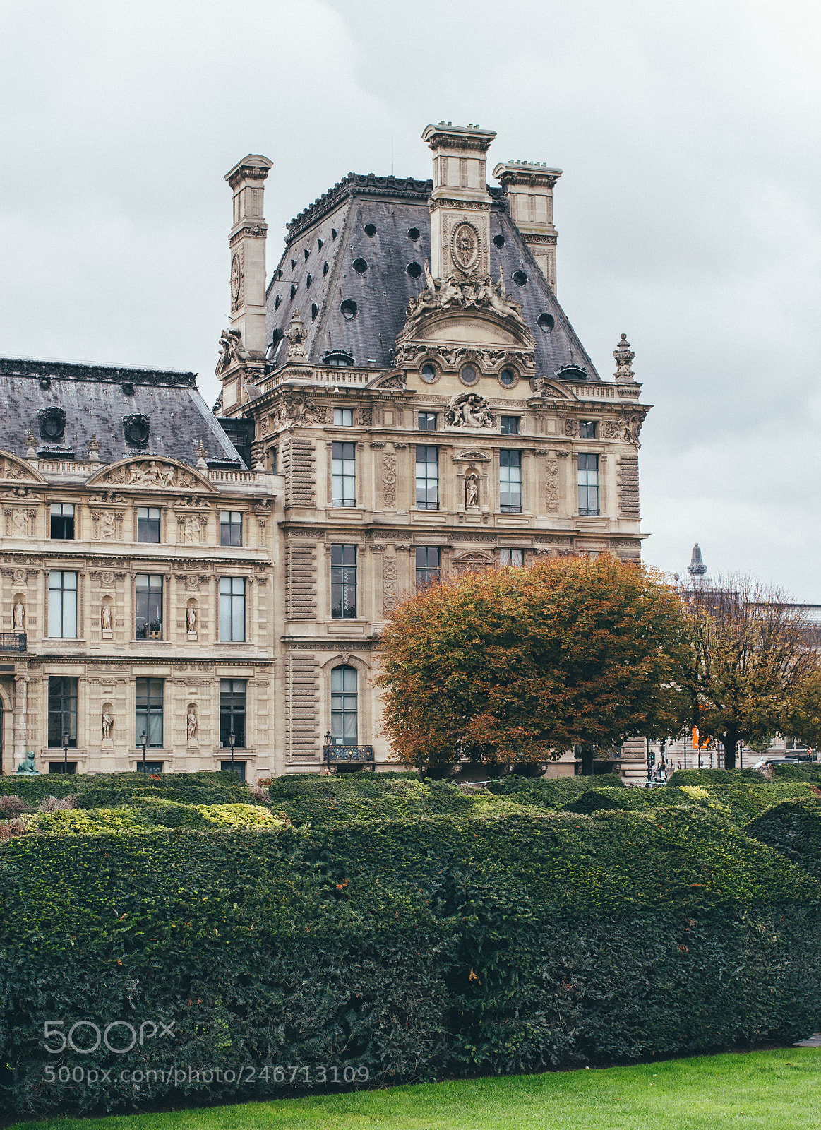 Canon EOS 60D sample photo. Tuileries garden photography
