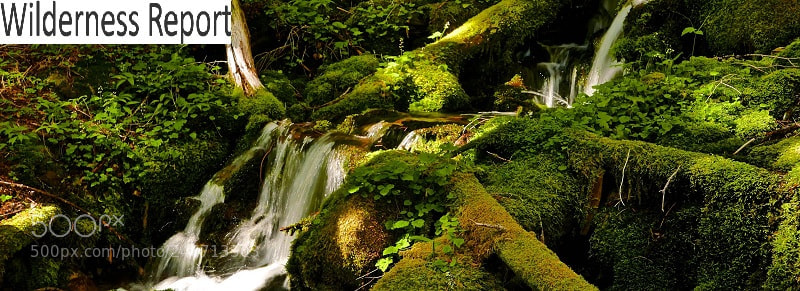 Panasonic Lumix DMC-LX100 sample photo. Wilderness management - wilderness photography