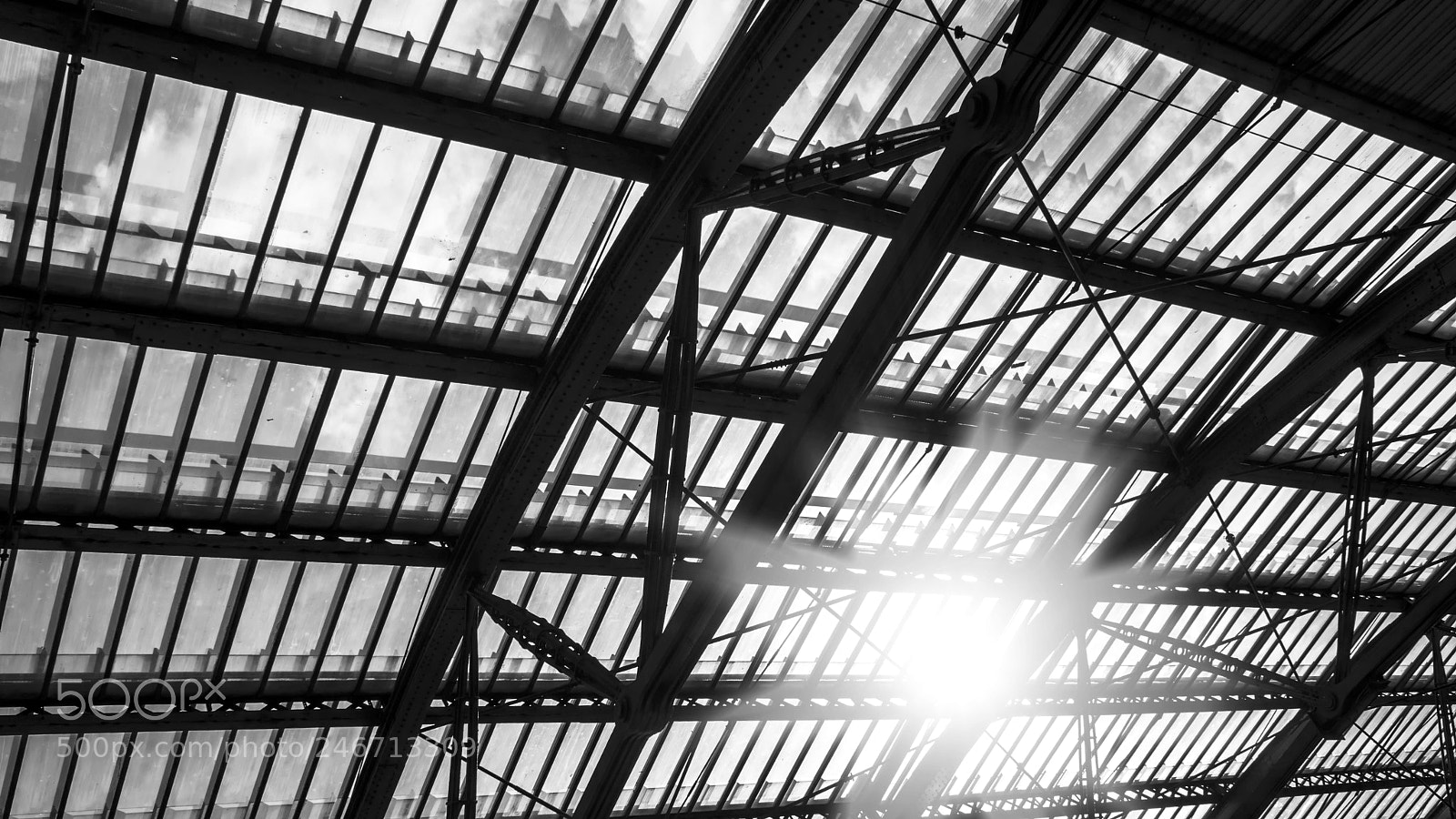 Sony a7 sample photo. Through the station roof photography
