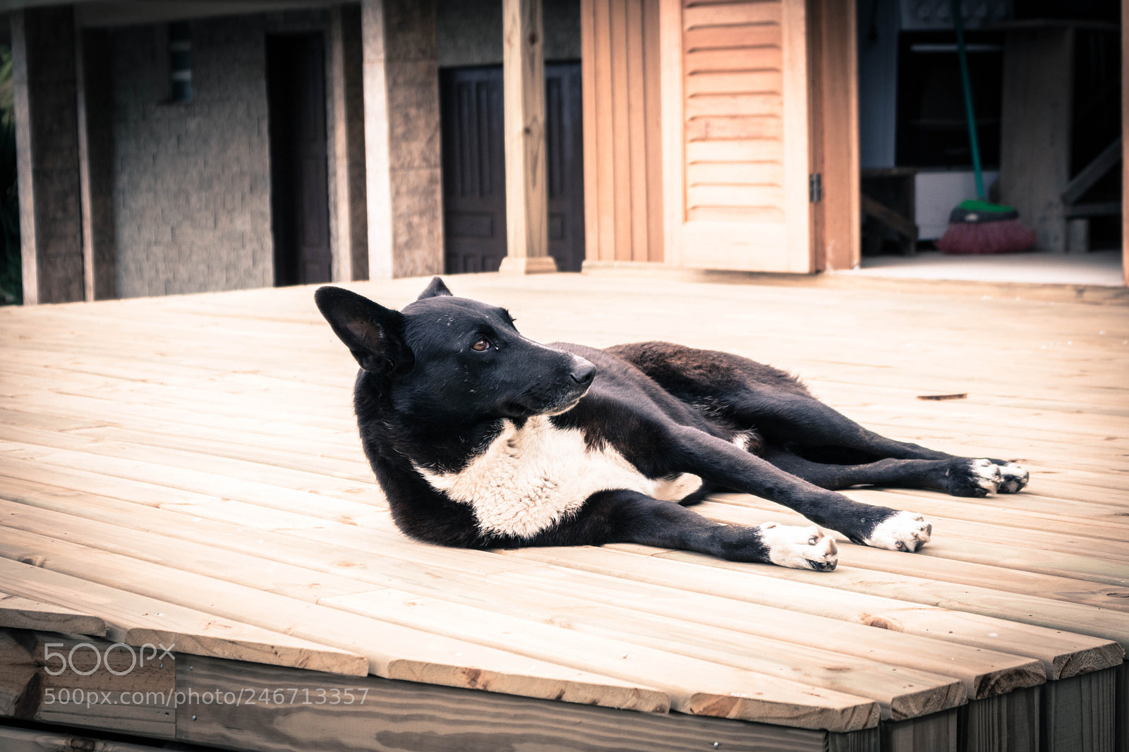 Canon EOS 750D (EOS Rebel T6i / EOS Kiss X8i) sample photo. Untitled photography