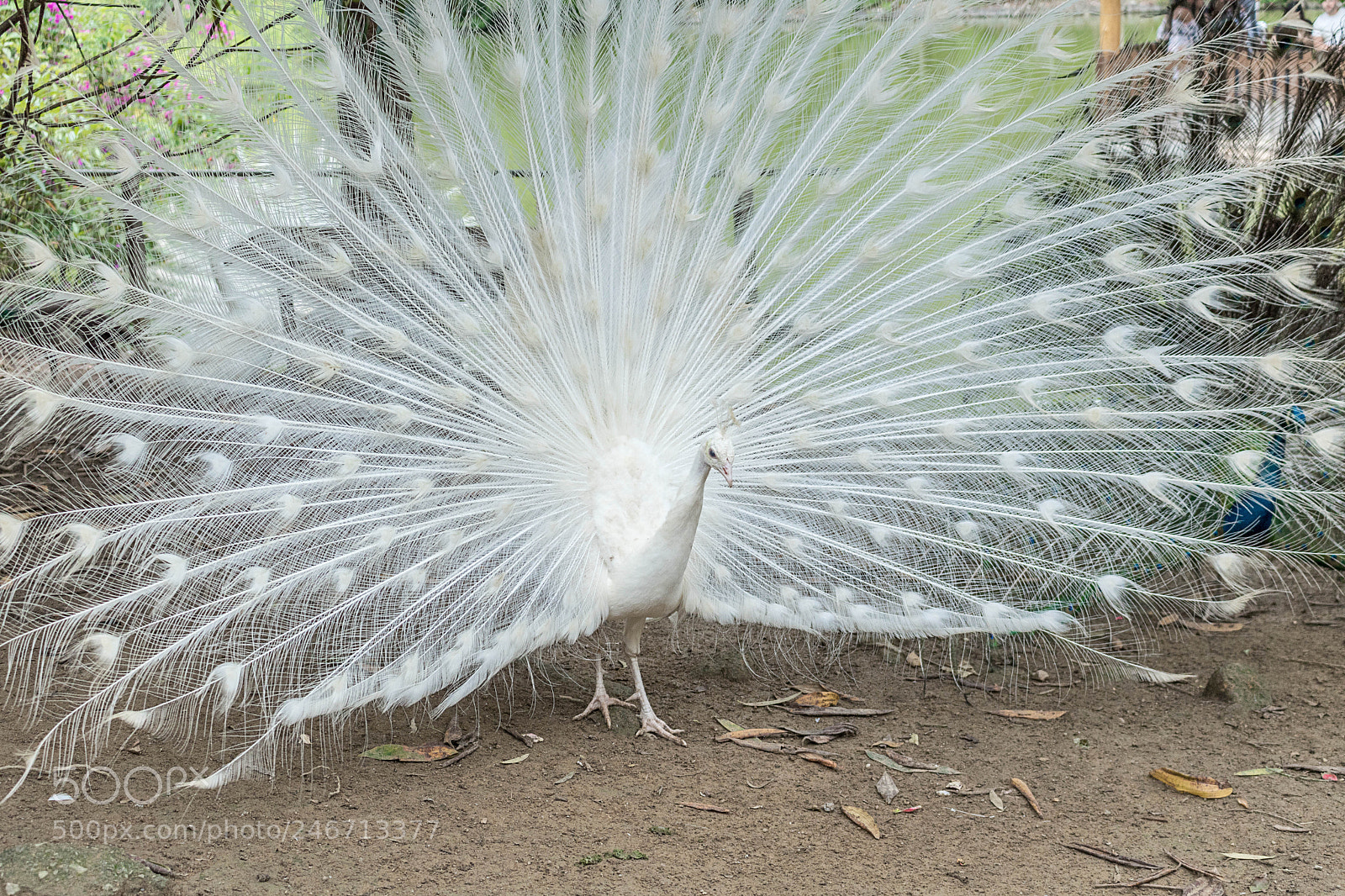 Canon EOS 750D (EOS Rebel T6i / EOS Kiss X8i) sample photo. Hdr editar photography