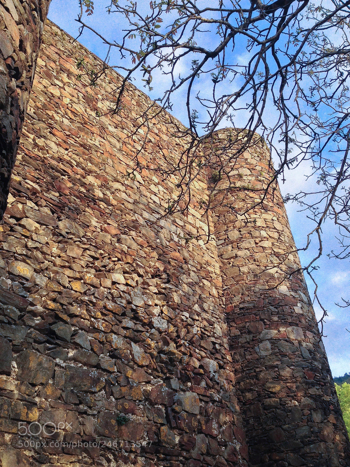 Apple iPhone 4S sample photo. Castle and dry twigs photography