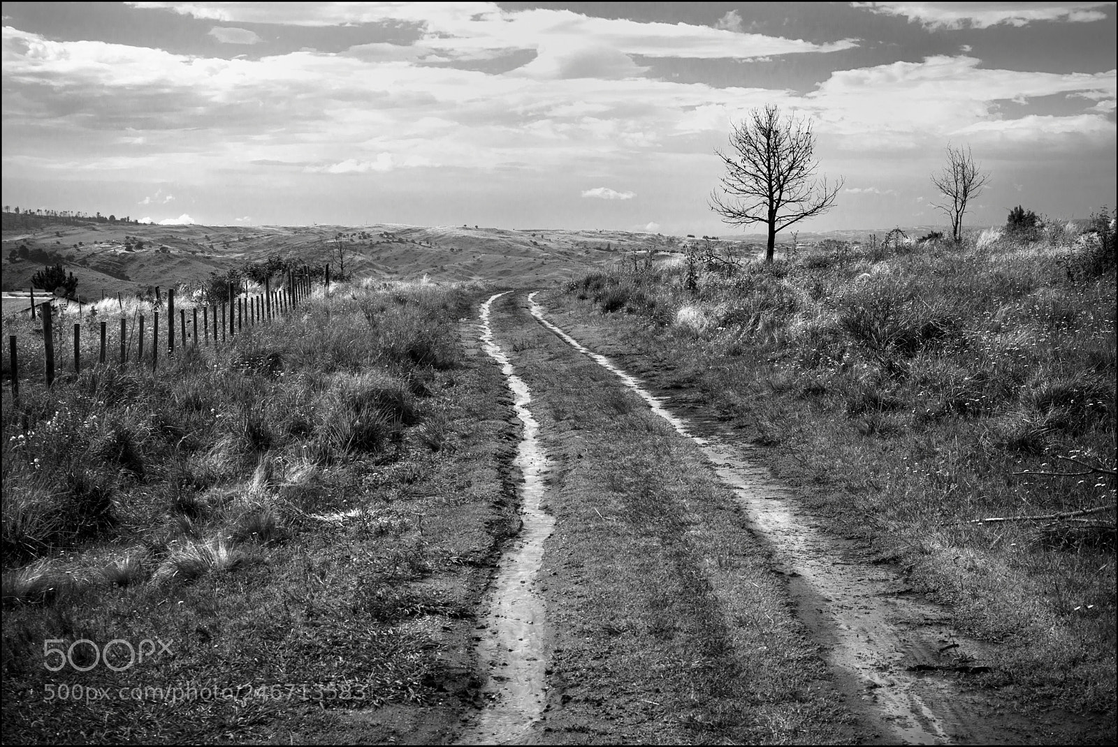 Nikon D600 sample photo. La huella de yacanto photography