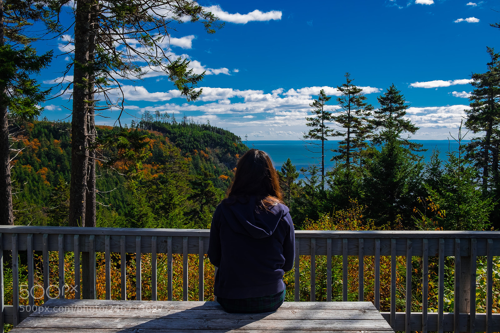 Fujifilm X-T10 sample photo. Fundy picnic photography
