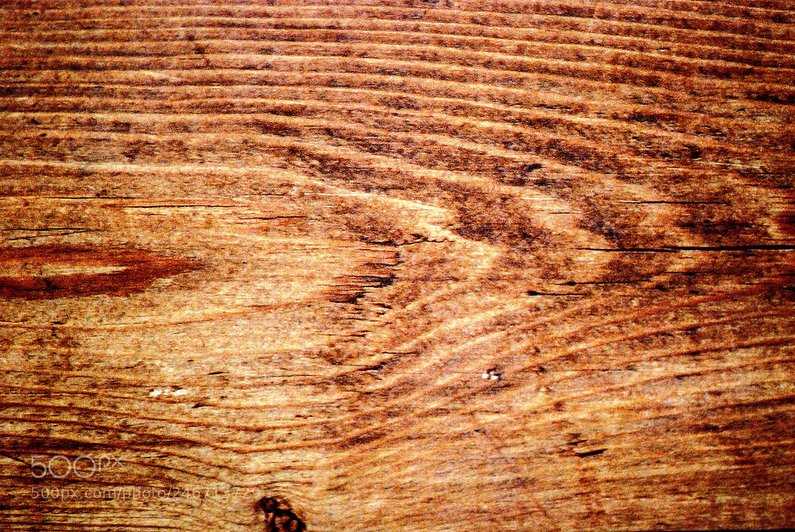 Nikon D80 sample photo. Wooden board photography