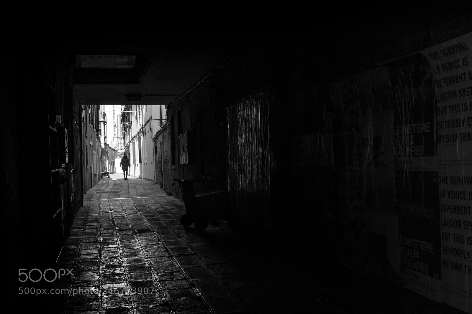 Canon EOS 600D (Rebel EOS T3i / EOS Kiss X5) sample photo. Venice queen photography