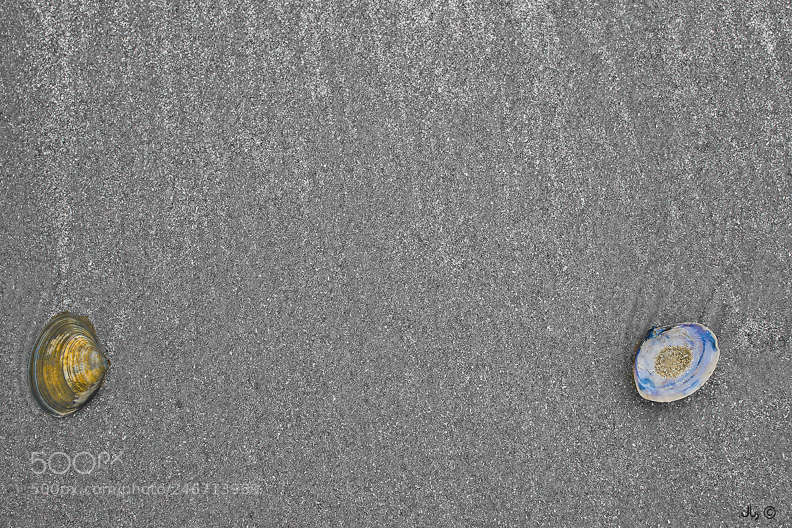 Nikon D810 sample photo. Duet photography