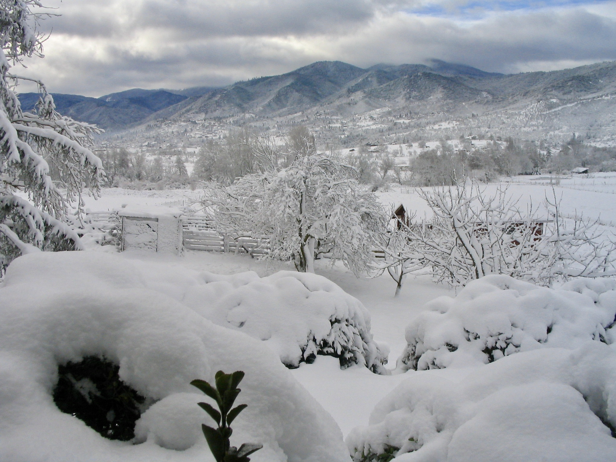 Canon POWERSHOT A70 sample photo. Snow - winter 1 photography