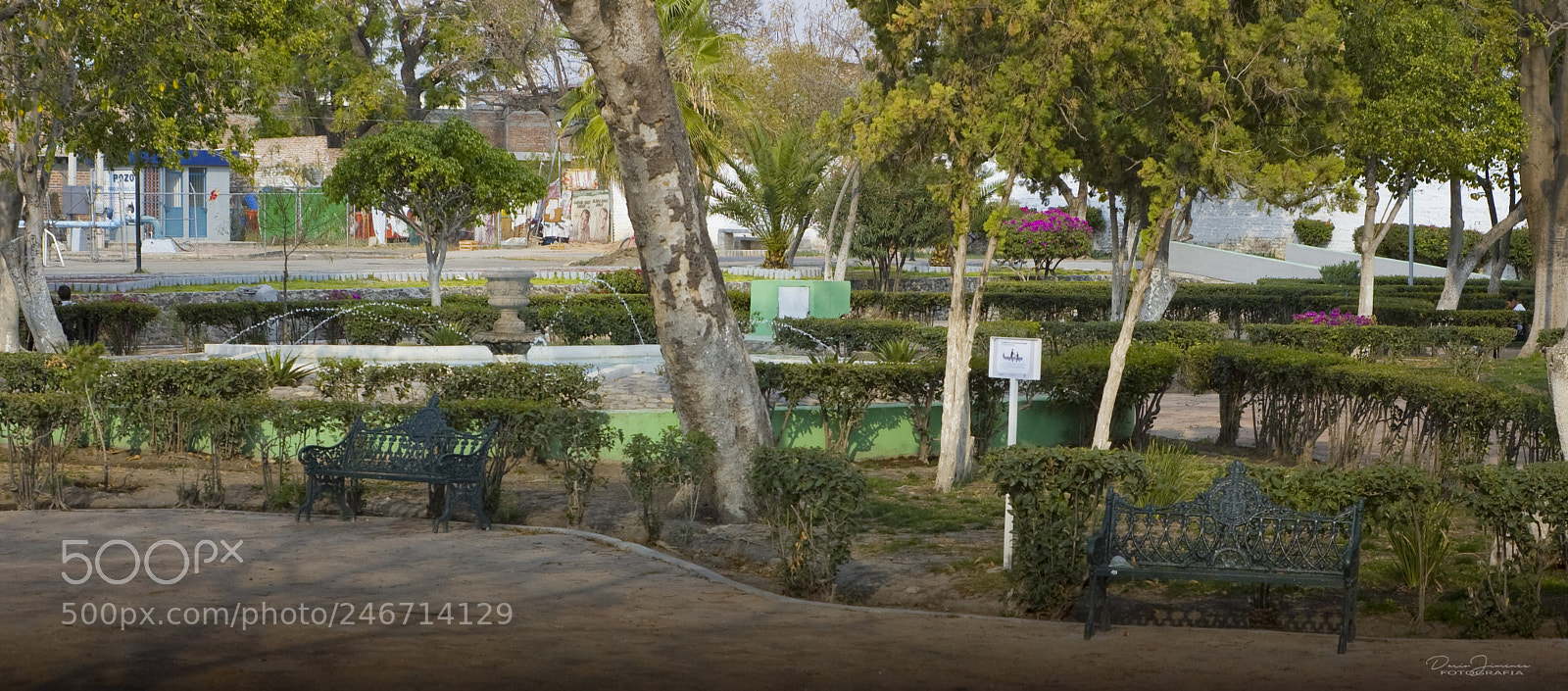 Nikon D50 sample photo. El parque morelos photography