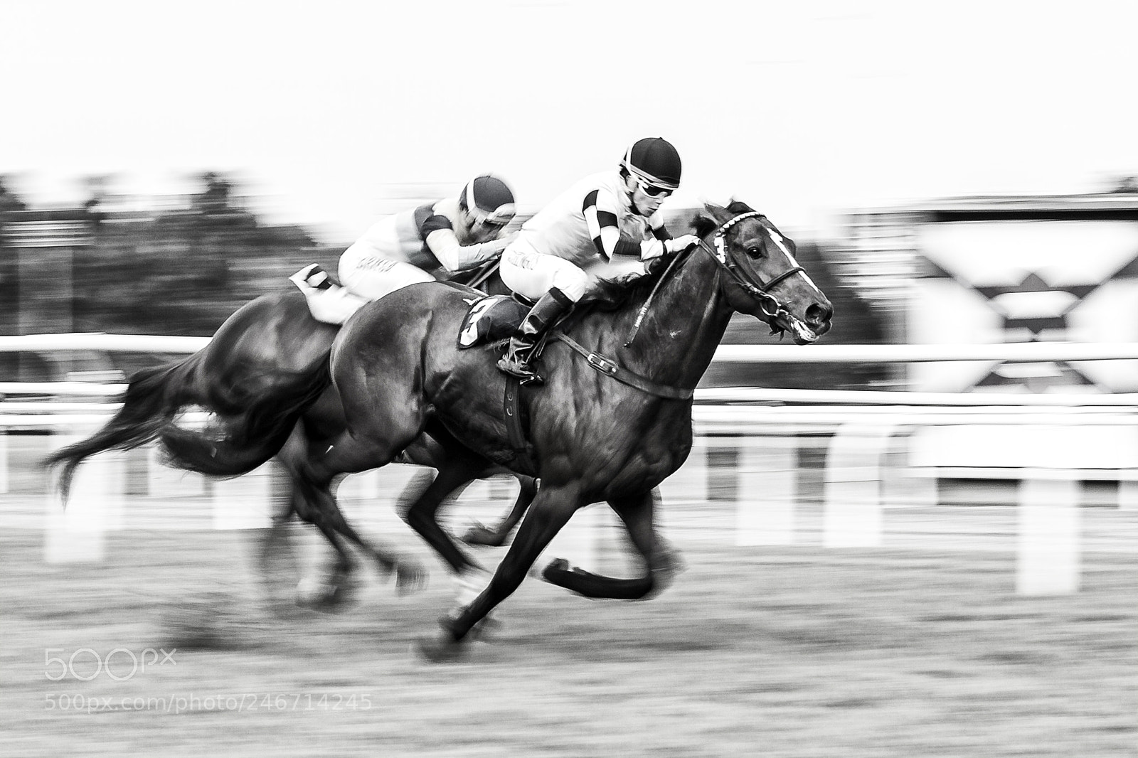Canon EOS 7D sample photo. To win photography