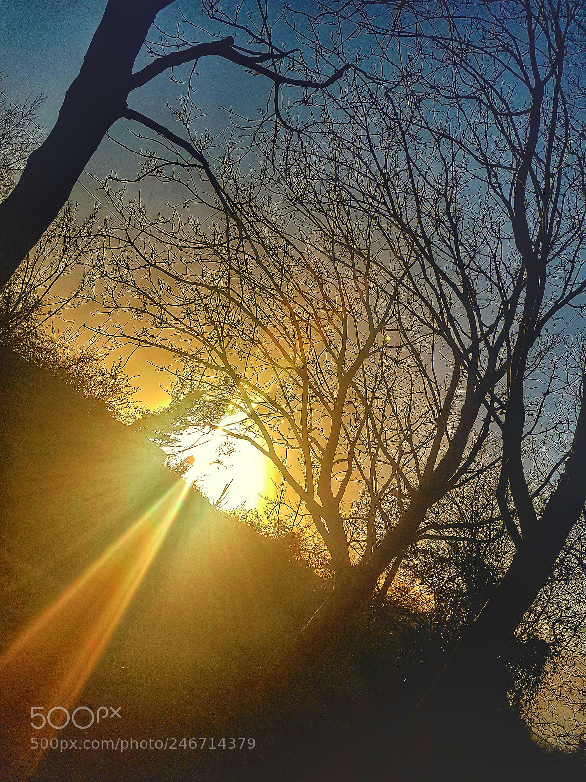 Samsung Galaxy S7 Edge sample photo. Egg timer sunbeams... photography