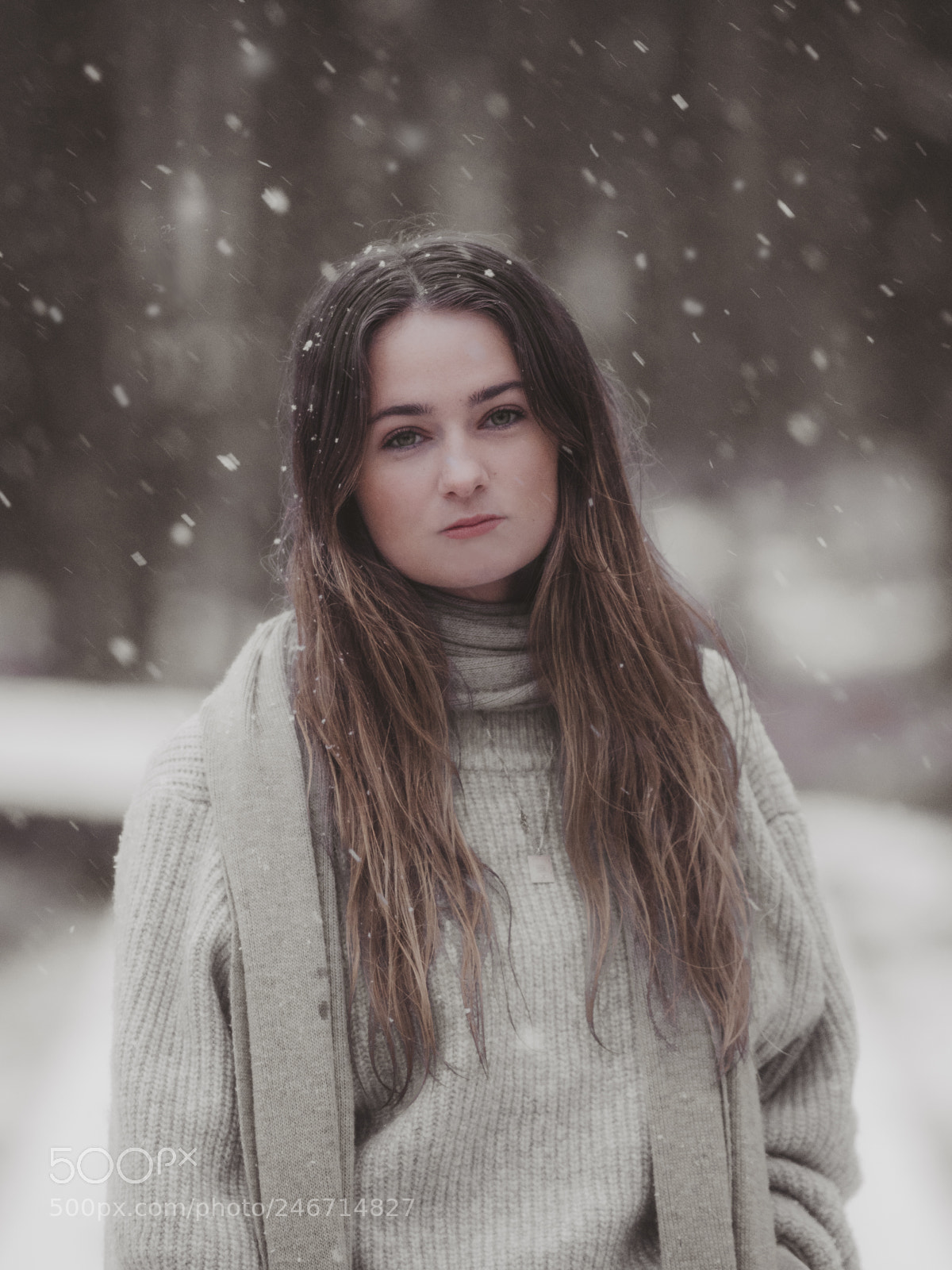 Nikon D500 sample photo. Snowy photography