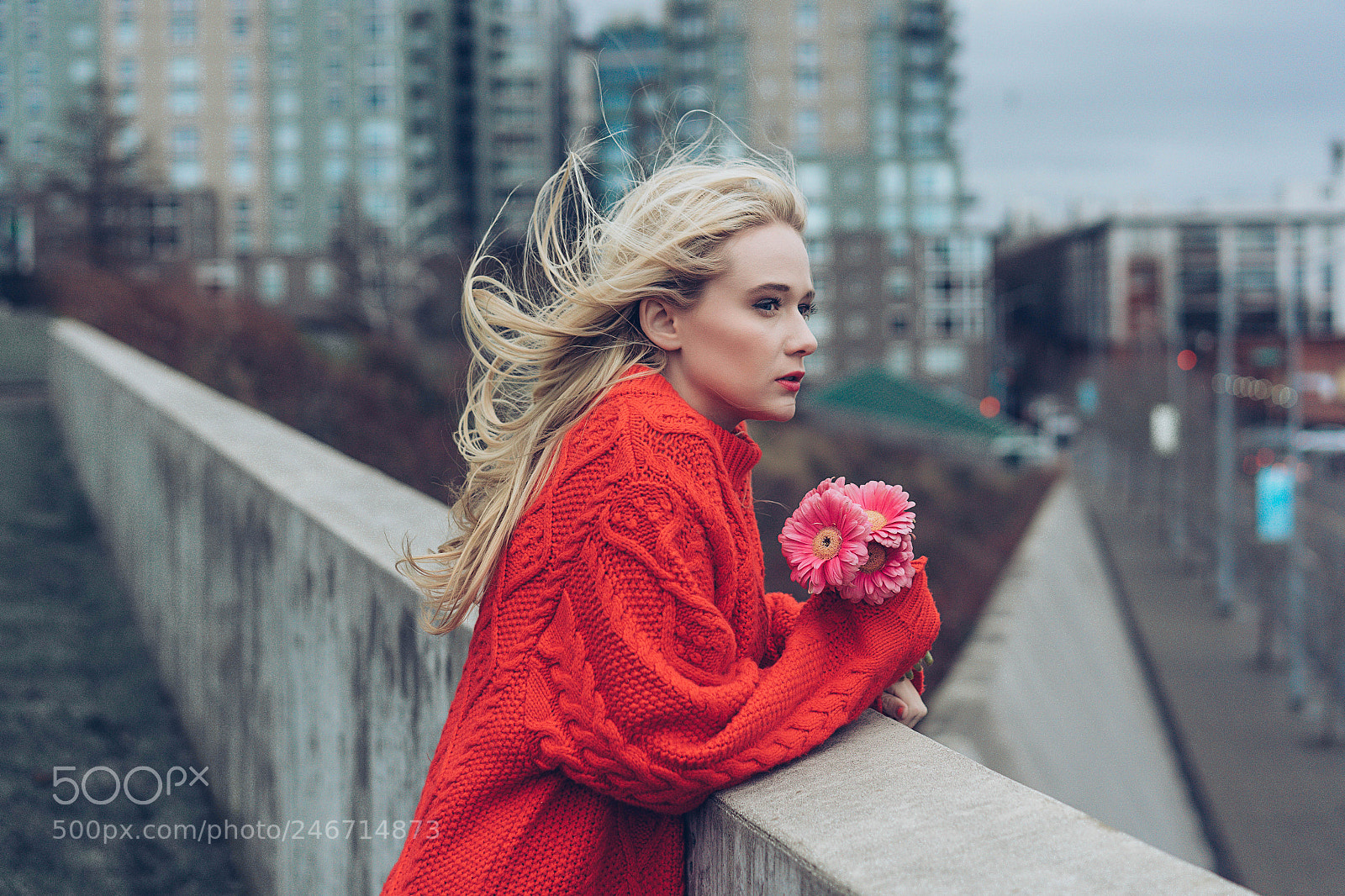 Sony a7 II sample photo. Untitled photography