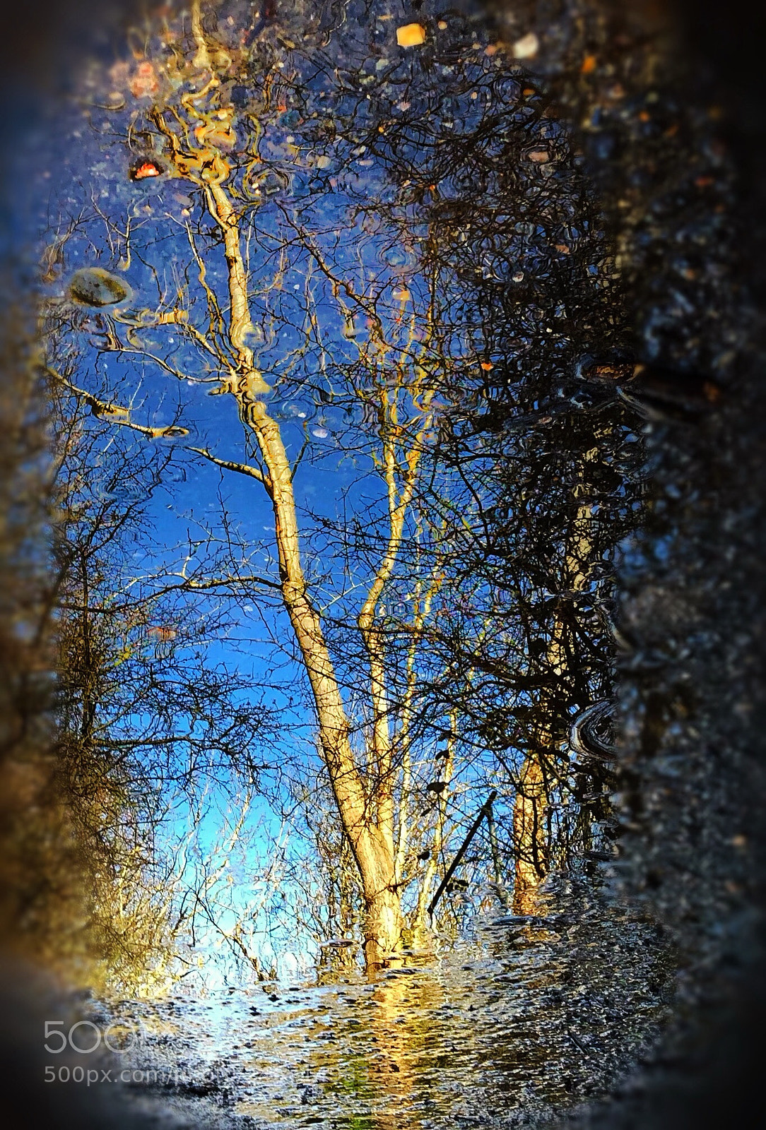 Apple iPhone X sample photo. Muddied reflection photography