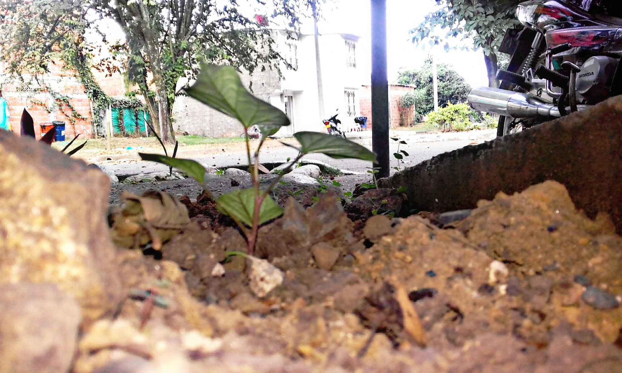 Samsung Galaxy J1 Mini Prime sample photo
