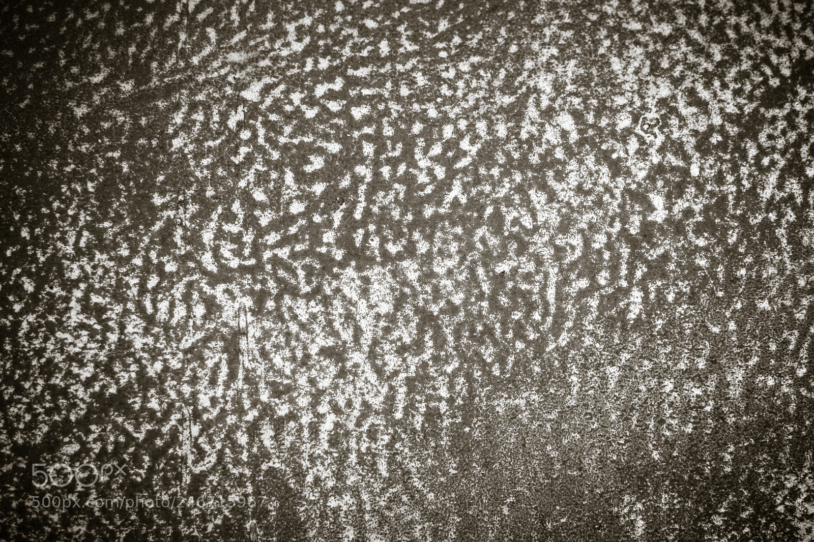 Nikon D7100 sample photo. Mottled photography