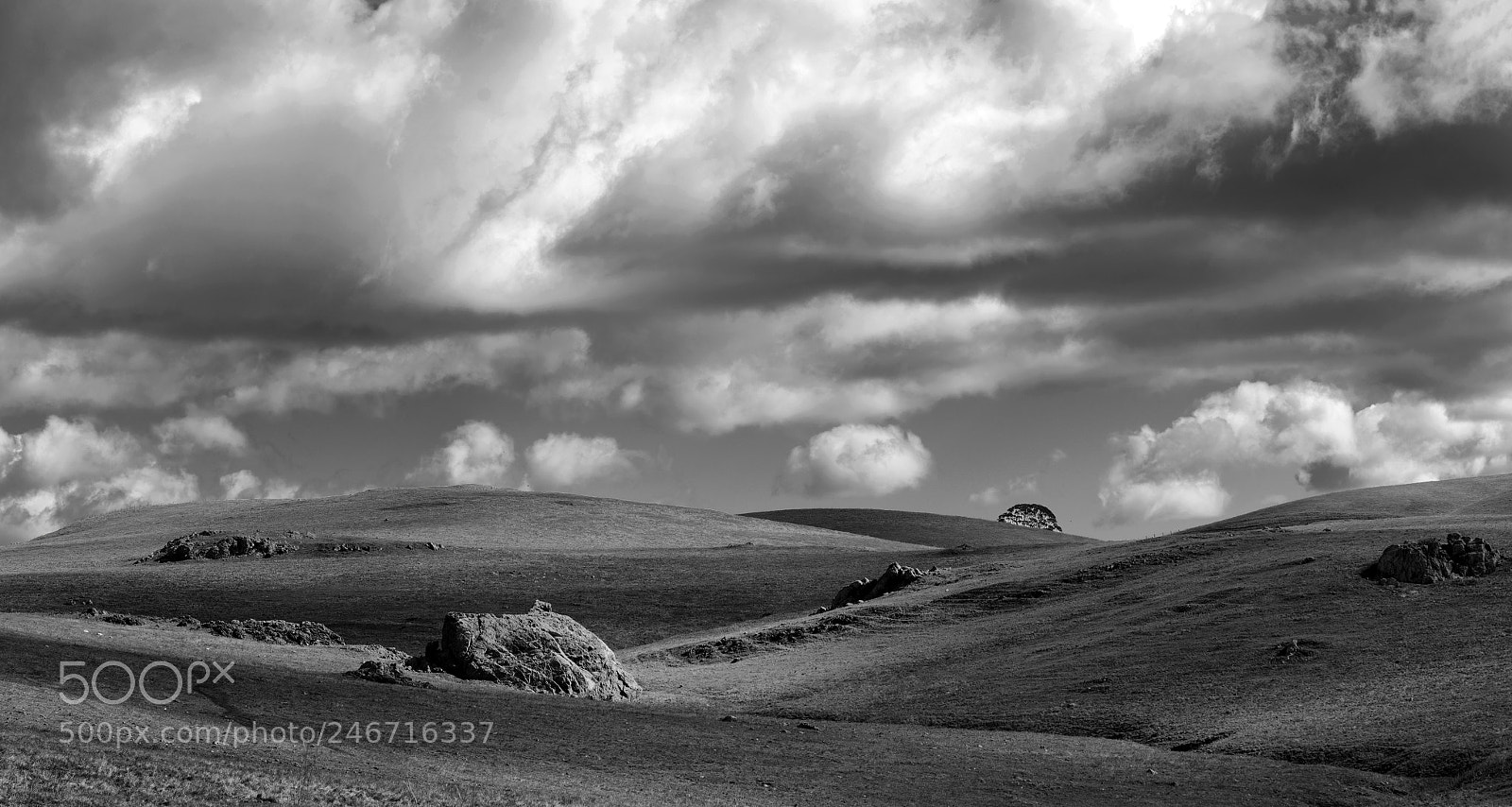 Sony a7R II sample photo. Rural landscape ii photography