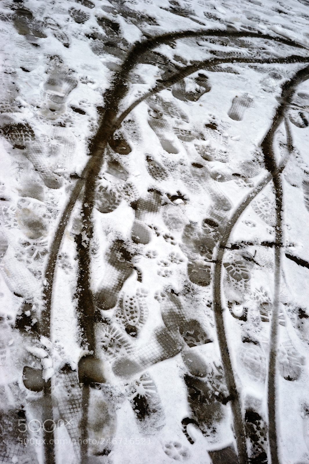 Sony a7 II sample photo. Tracks in the snow photography