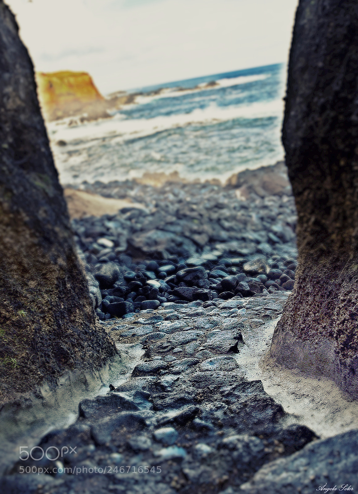 Nikon AF-S Nikkor 24-120mm F4G ED VR sample photo. Path to the beach photography