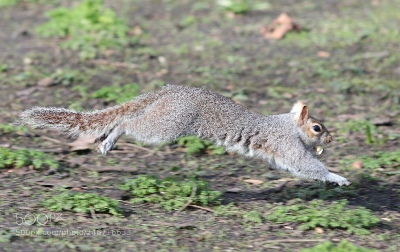 Canon EOS 77D (EOS 9000D / EOS 770D) sample photo. Untitled photography