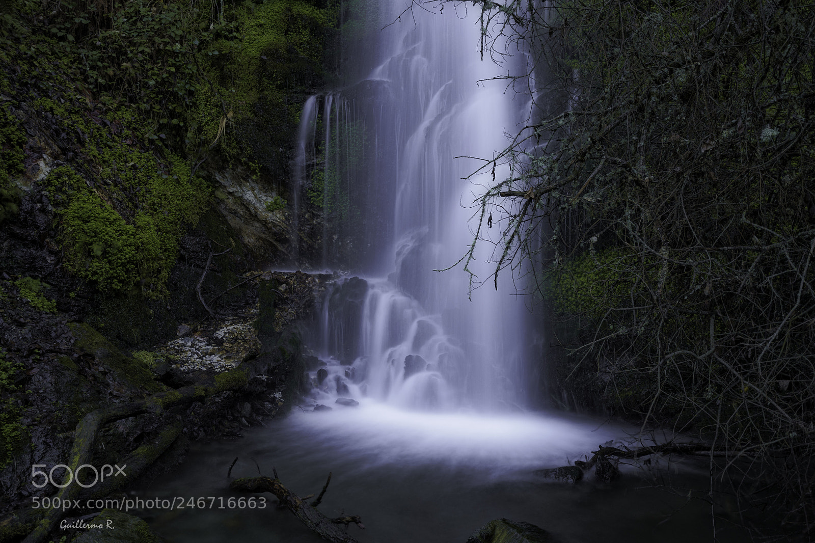 Sony a7 II sample photo. Fervenza de fervenza photography