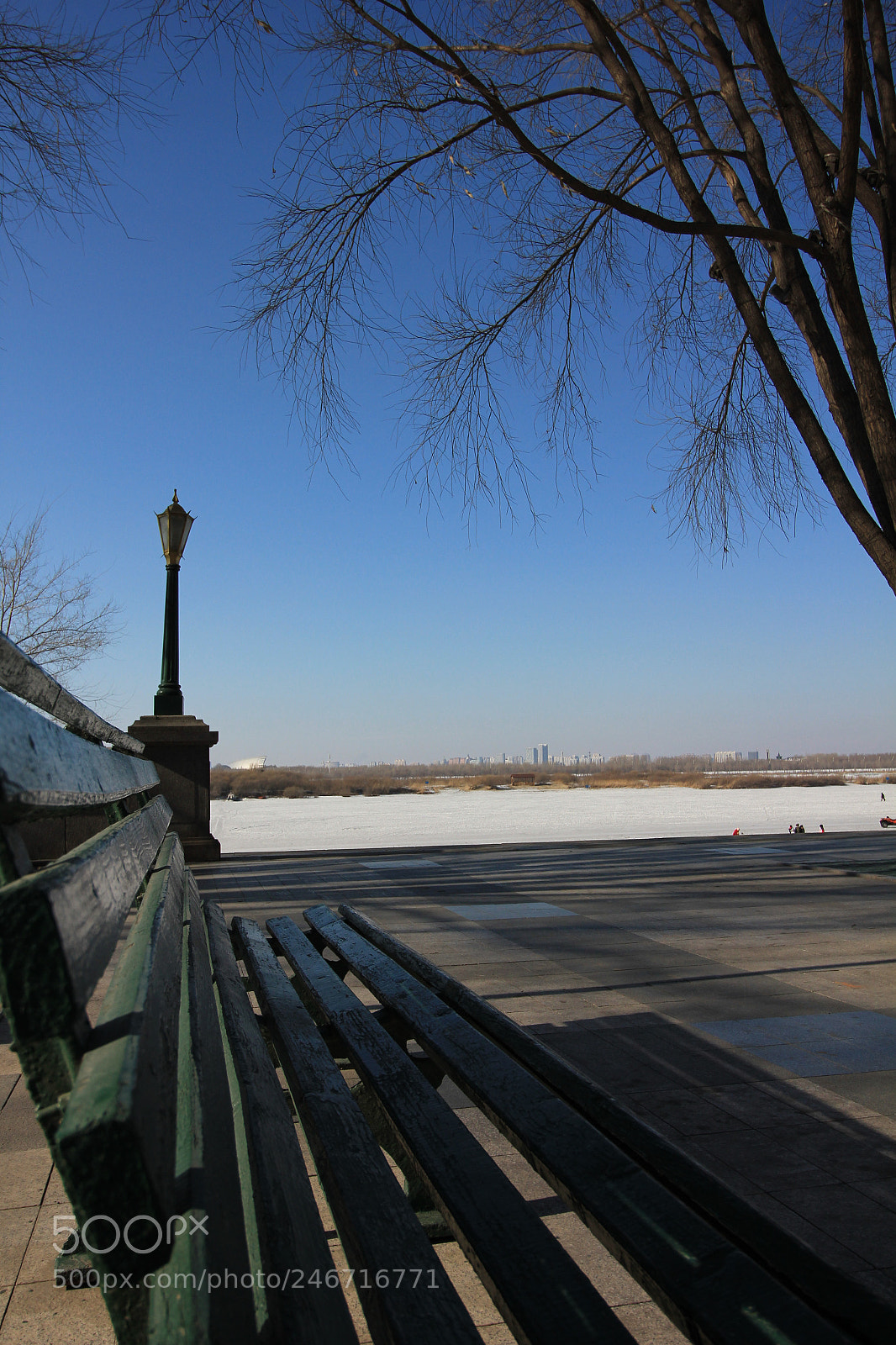 Canon EOS 550D (EOS Rebel T2i / EOS Kiss X4) sample photo. 长椅 photography