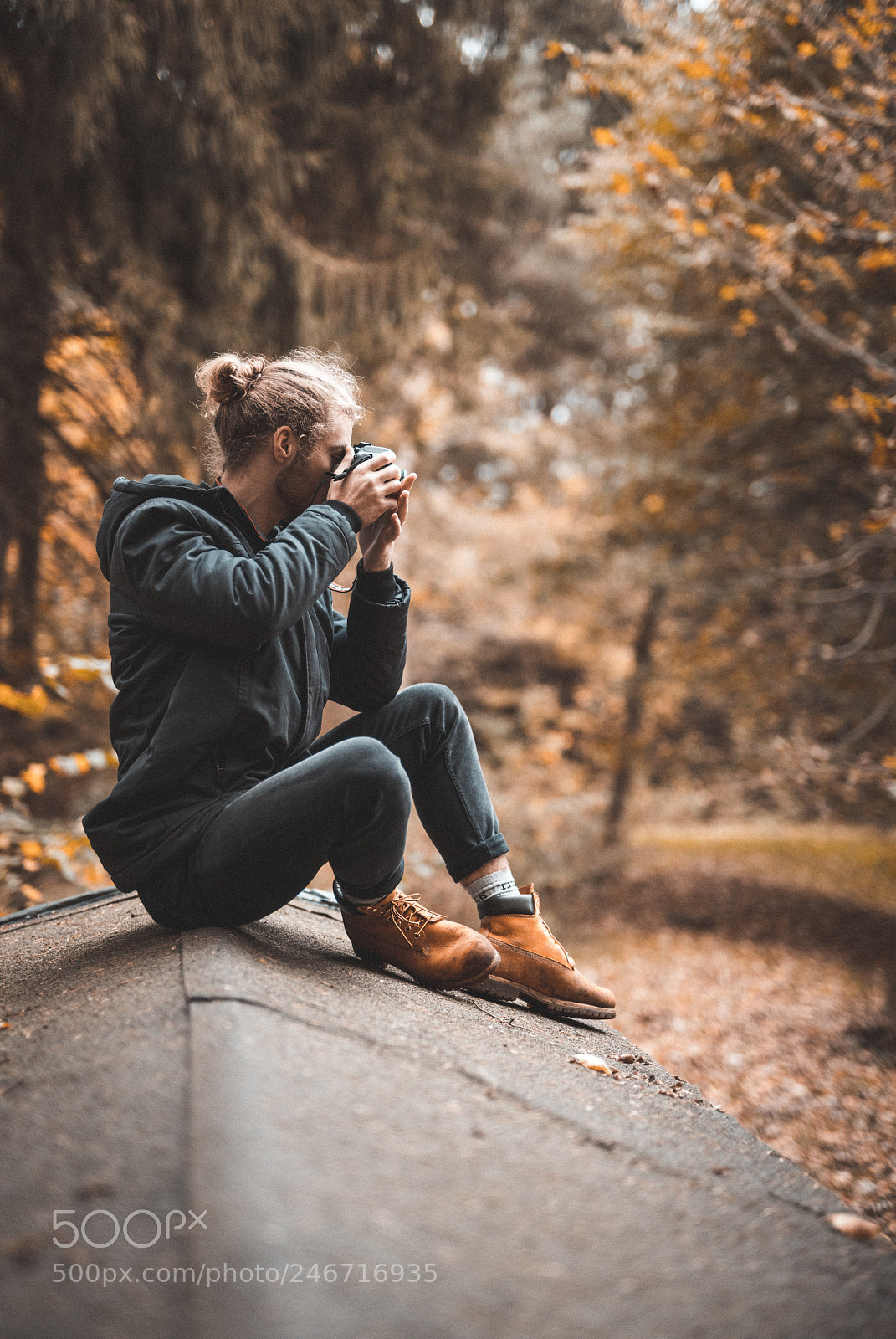 Sony a7R II sample photo. Buksti forrest roof photography