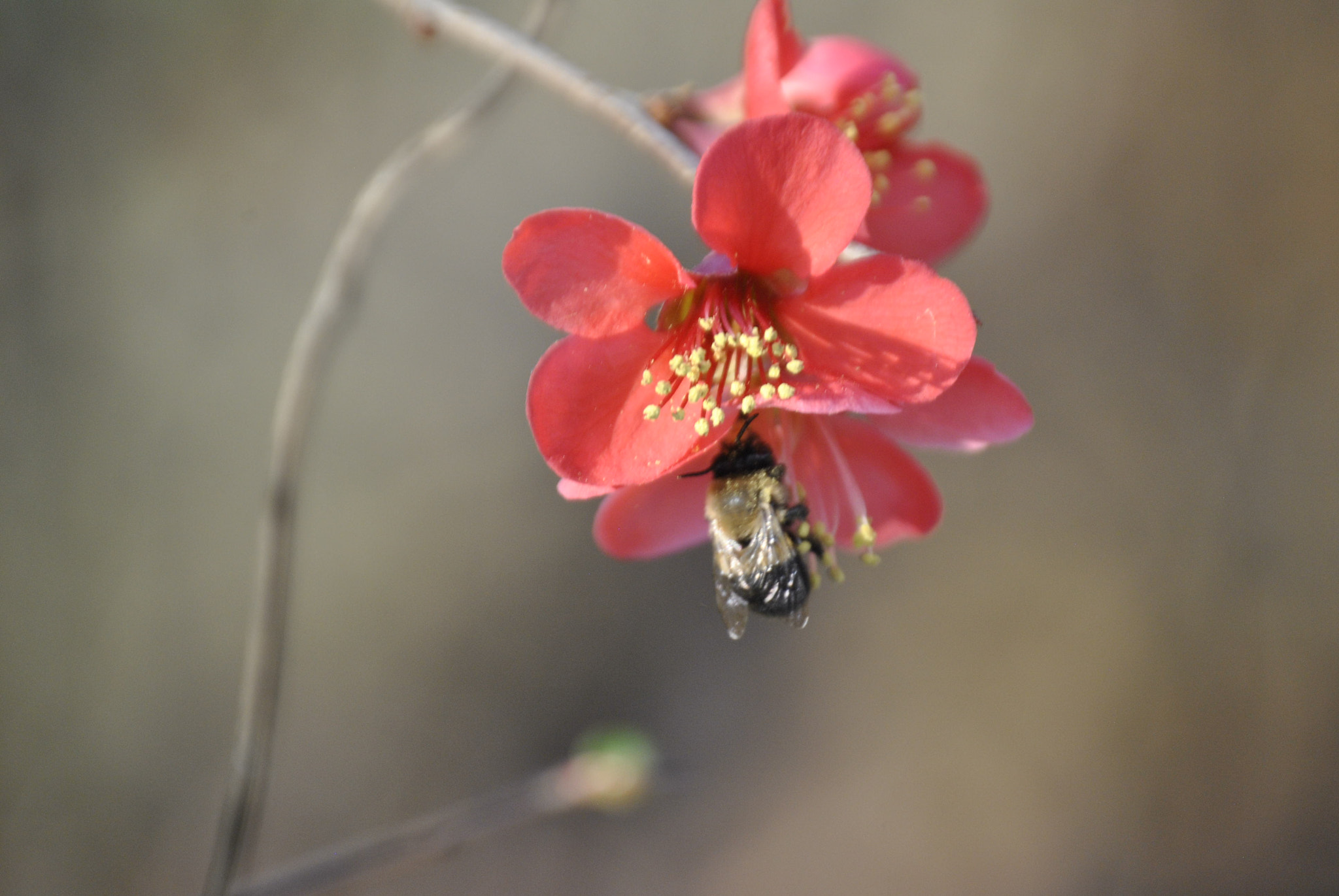Nikon D3000 sample photo. First contact photography