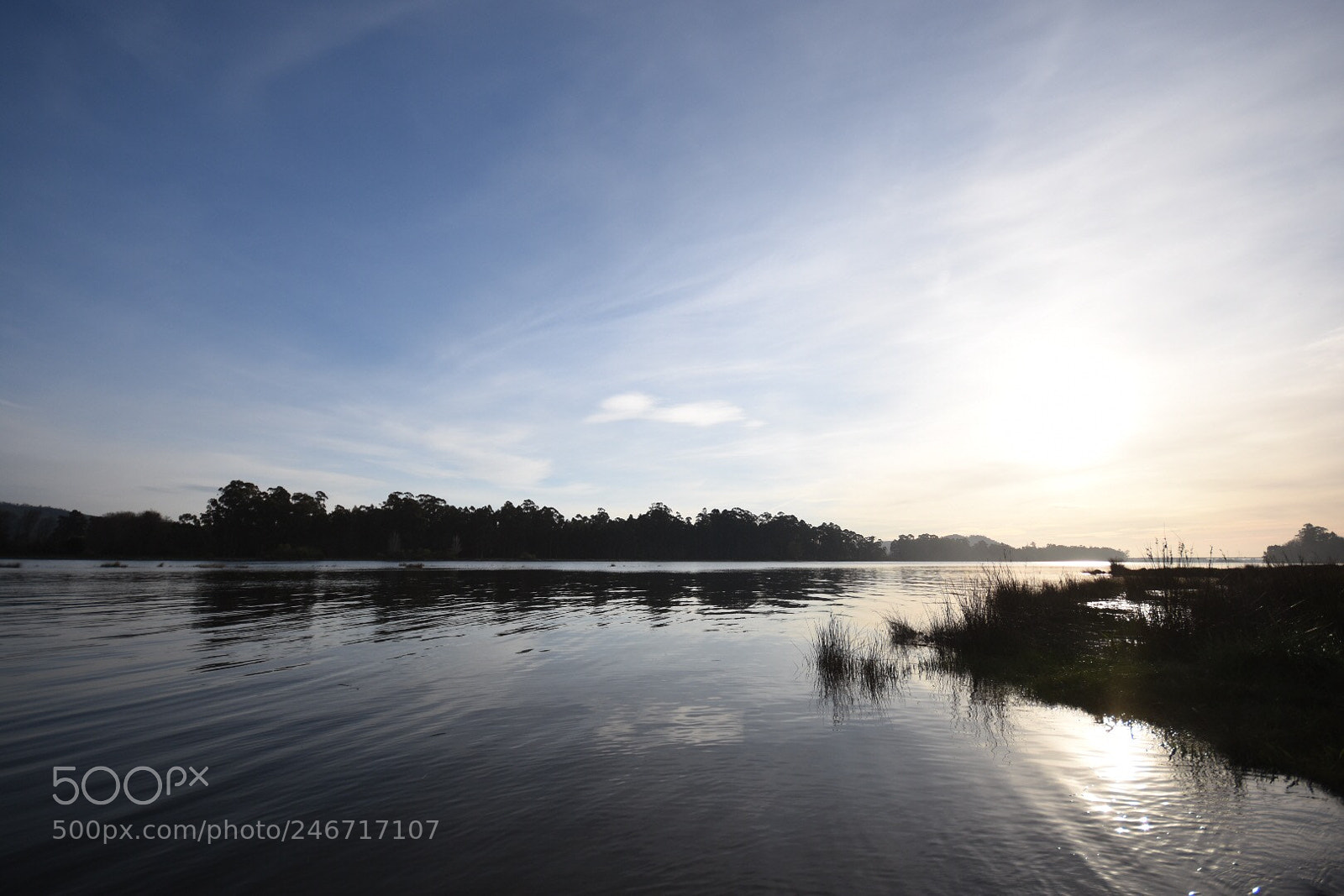 Nikon D7200 sample photo. Rio lima, cardielos photography