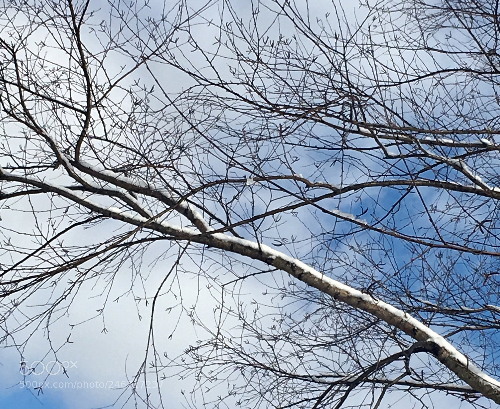 Apple iPhone 6s sample photo. Untitled photography