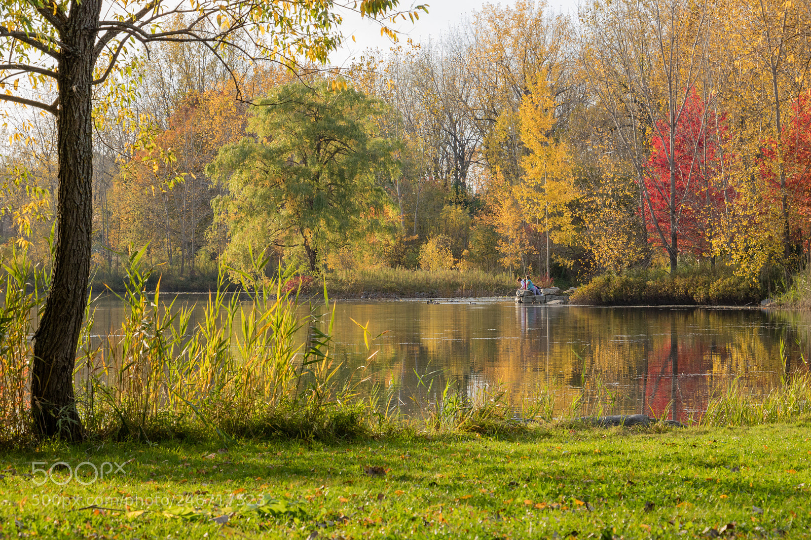 Canon EOS 760D (EOS Rebel T6s / EOS 8000D) sample photo. Fall photography