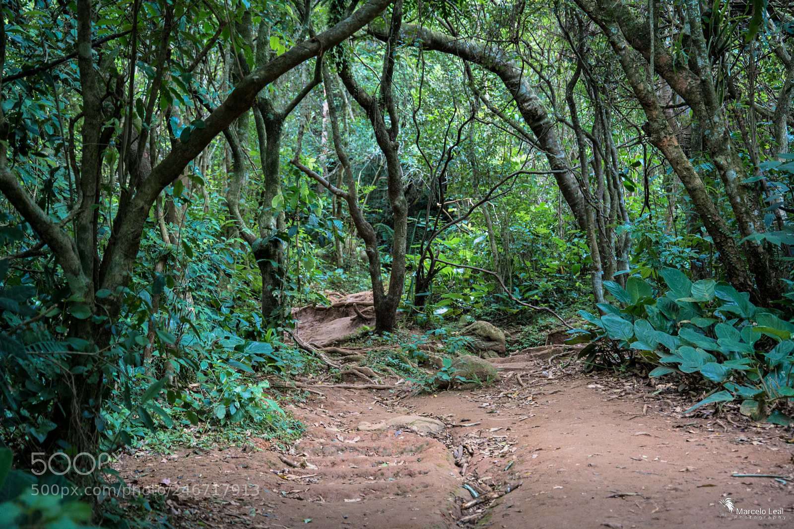 Nikon D7100 sample photo. Fragments of nature - 12 photography