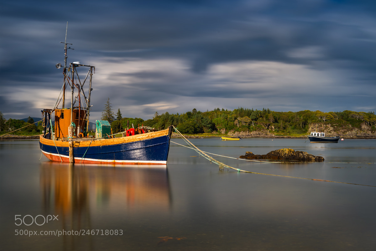Sony a7R sample photo. Fish cutter photography