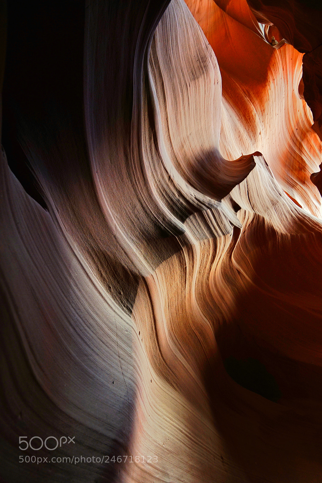 Sony a7 II sample photo. The millions dollars wall photography