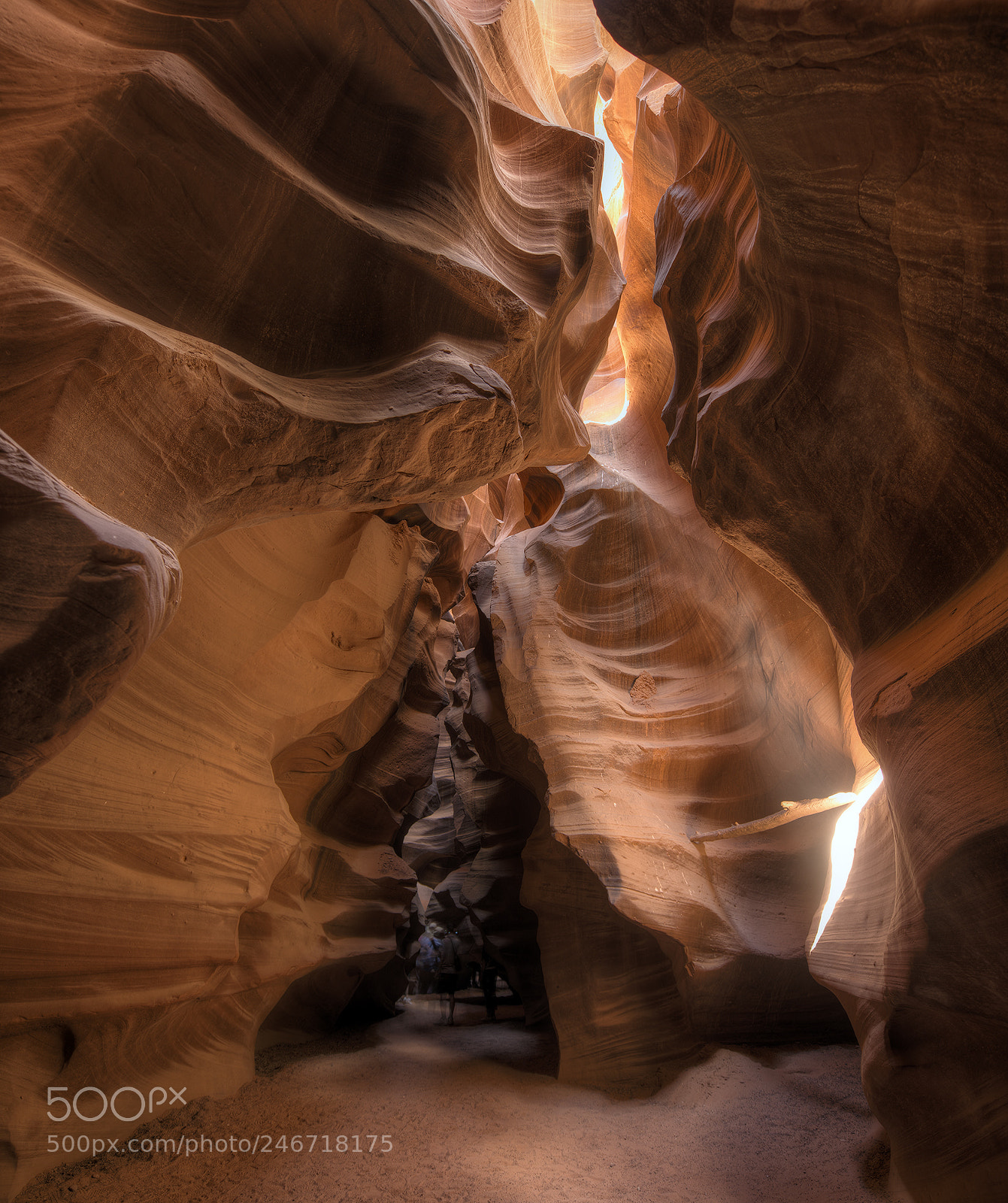 Nikon D800 sample photo. Beautiful slot photography