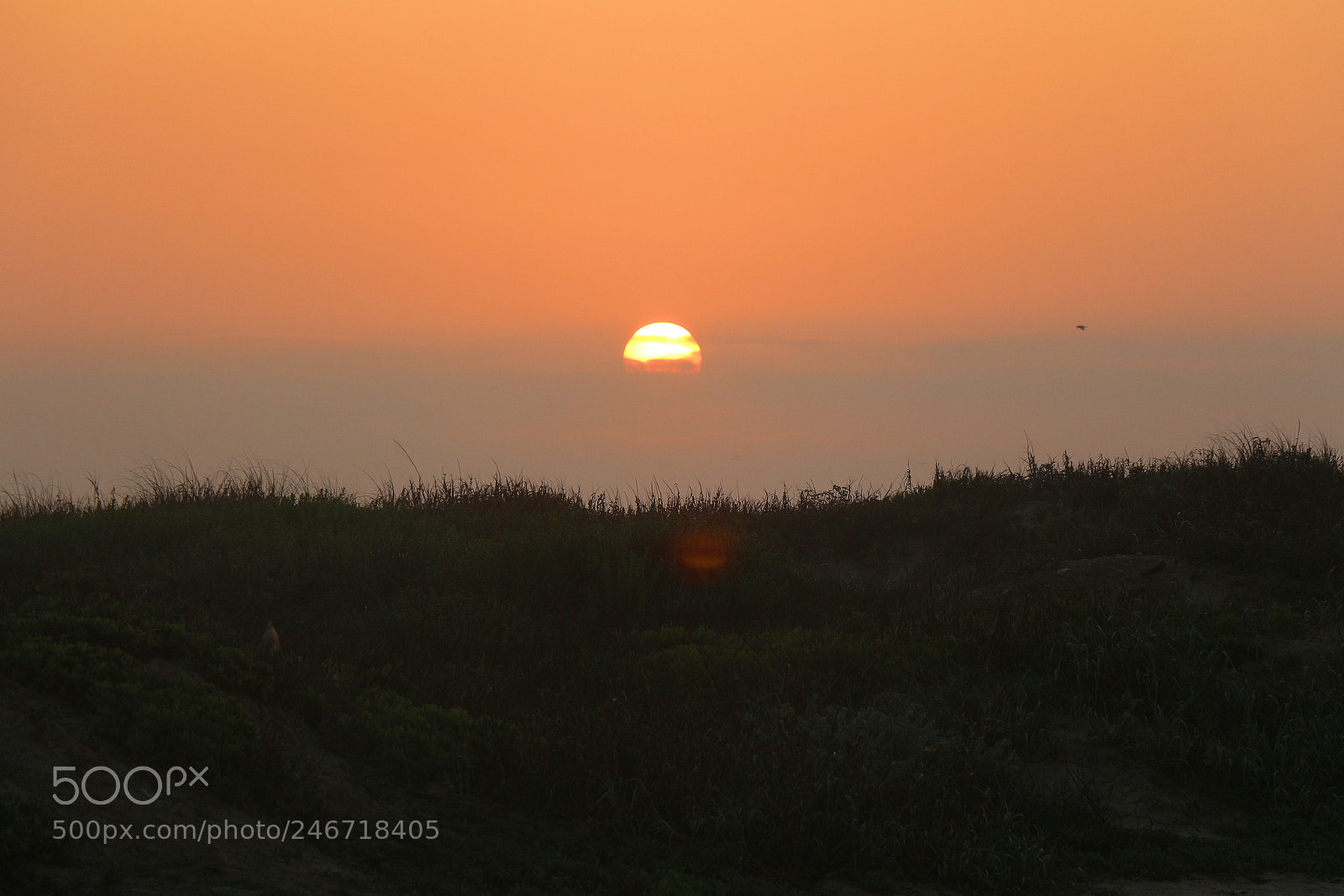 Canon EOS 700D (EOS Rebel T5i / EOS Kiss X7i) sample photo. Sunrise over the dunes photography