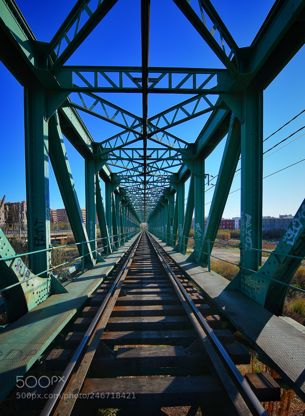 Nikon D7200 sample photo. The iron bridge green photography