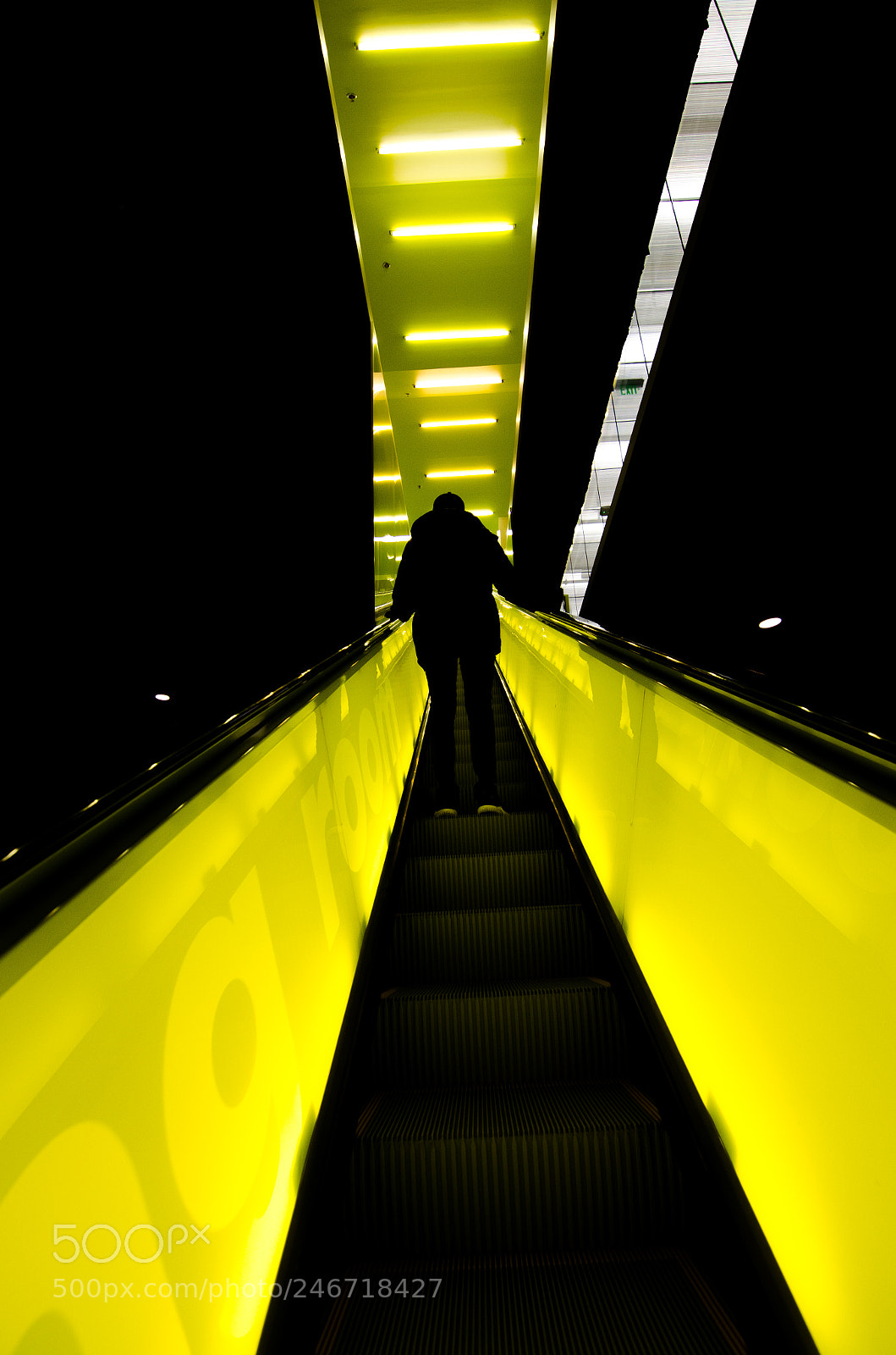 Nikon D5100 sample photo. O.m.a seattle library photography