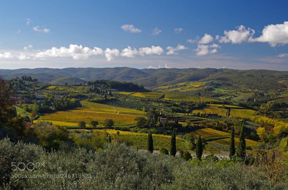 Pentax K-50 sample photo. Omgeving panzano in chianti photography