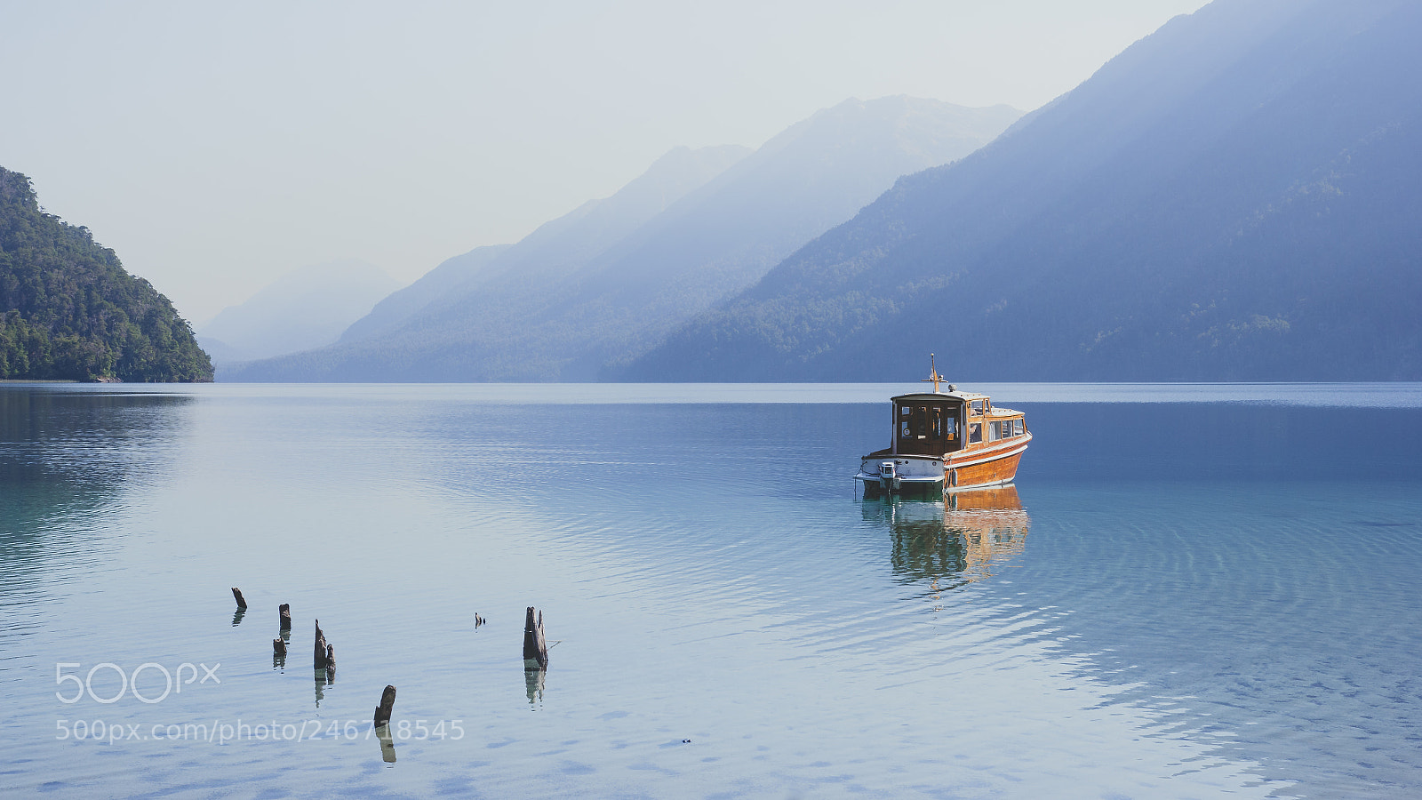 Canon EOS 60D sample photo. "good morning" photography