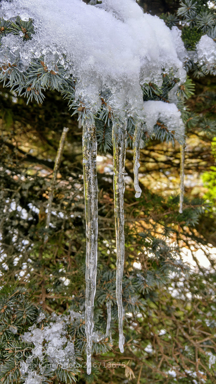 LG G4 sample photo. Winter wonders photography