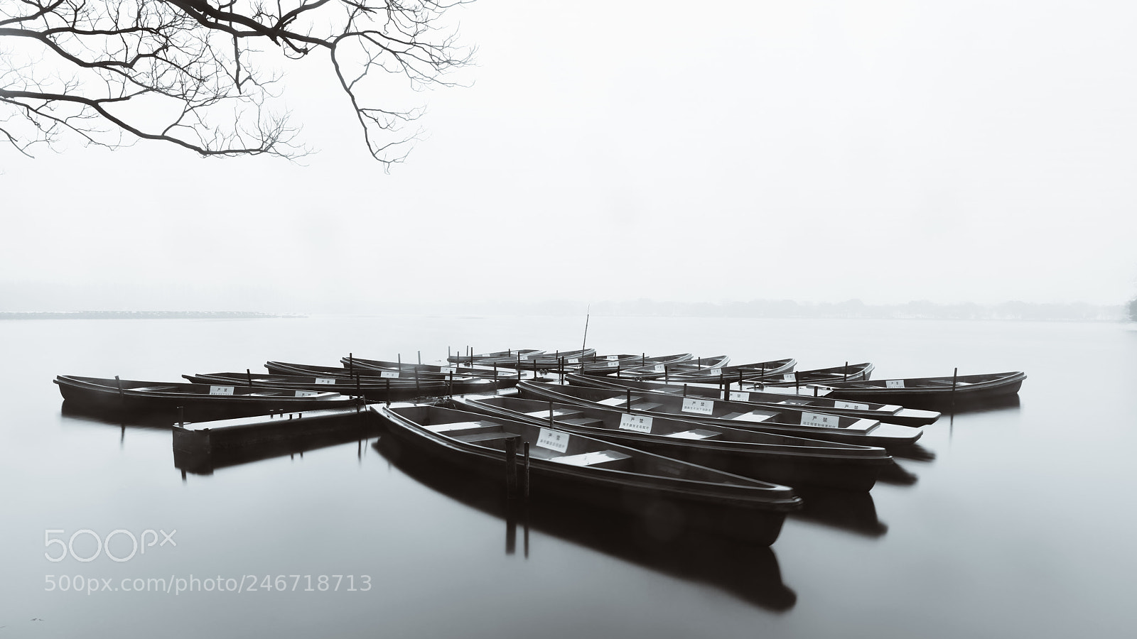 Nikon D810 sample photo. The west lake photography