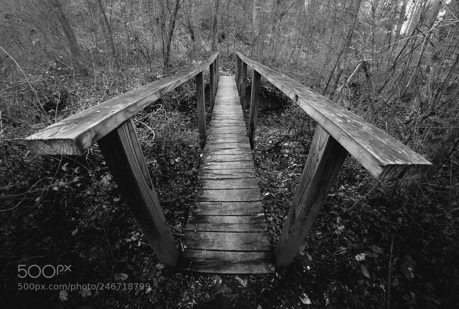GoPro Hero6 Black sample photo. Skinny bridge in the photography