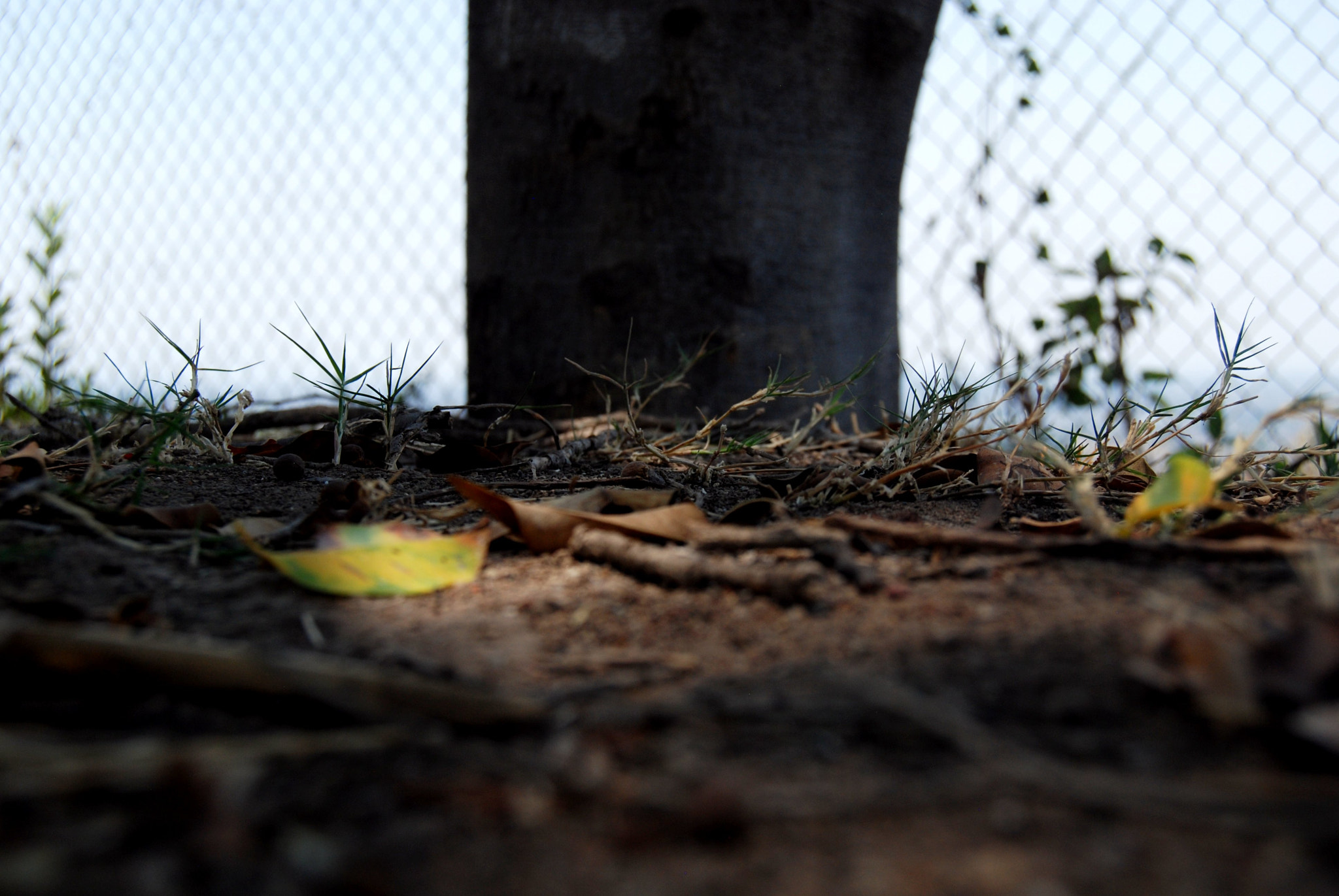 Nikon D40X sample photo. Under the light photography