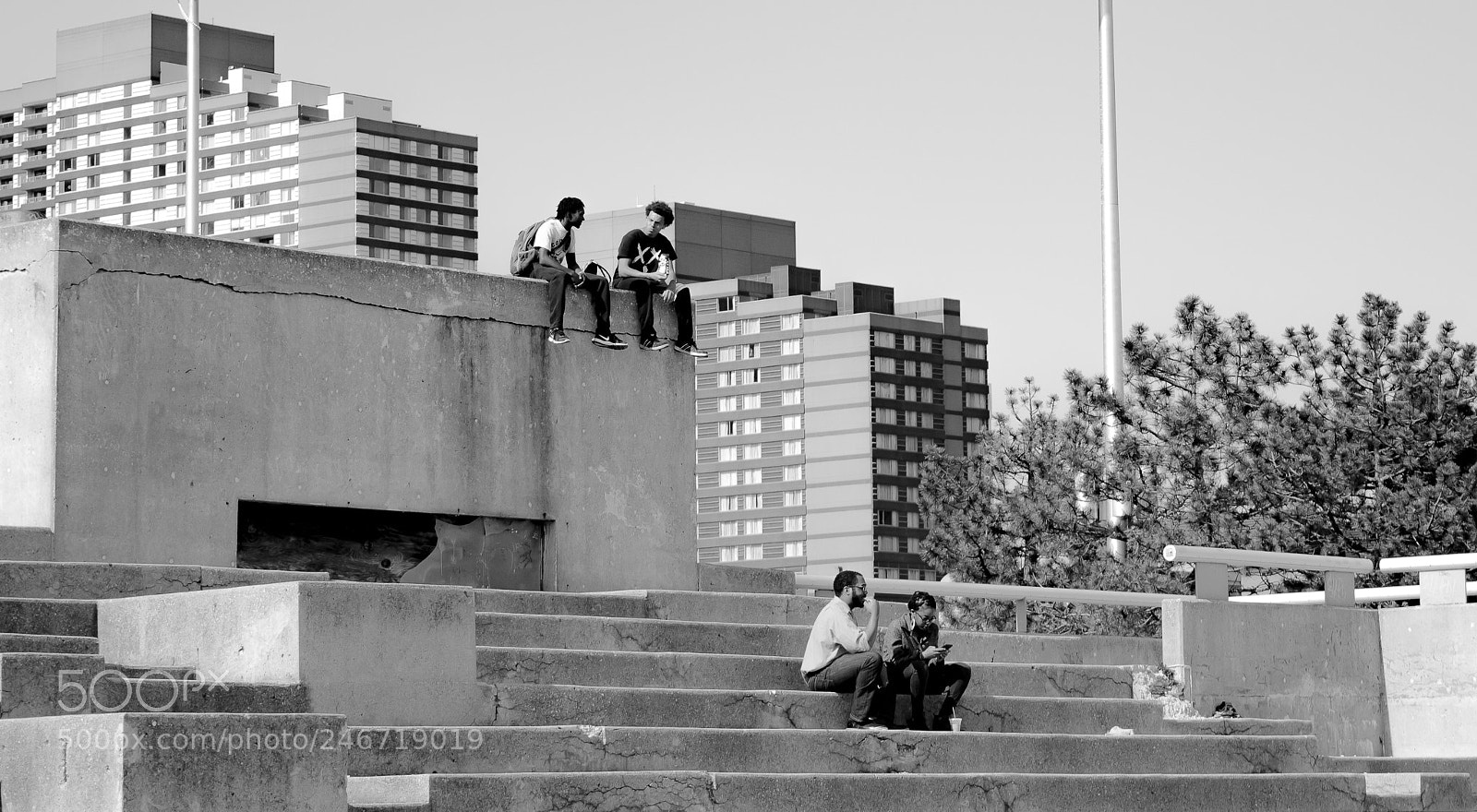 Nikon D7200 sample photo. Hanging out on top photography