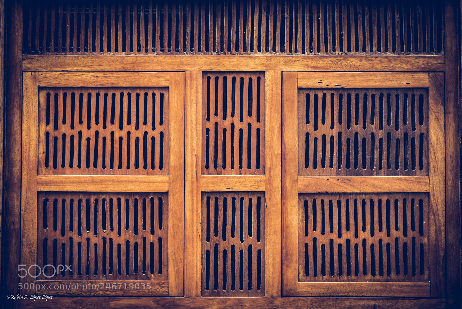 Nikon D7100 sample photo. Panal photography