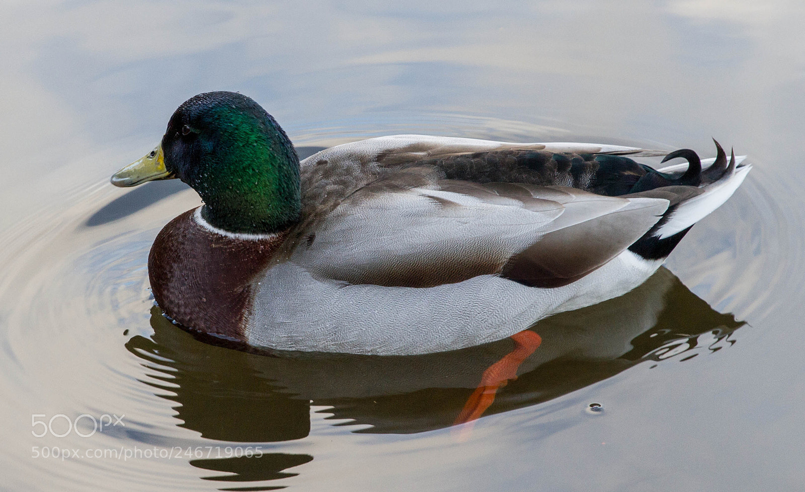 Canon EOS 7D sample photo. Img photography