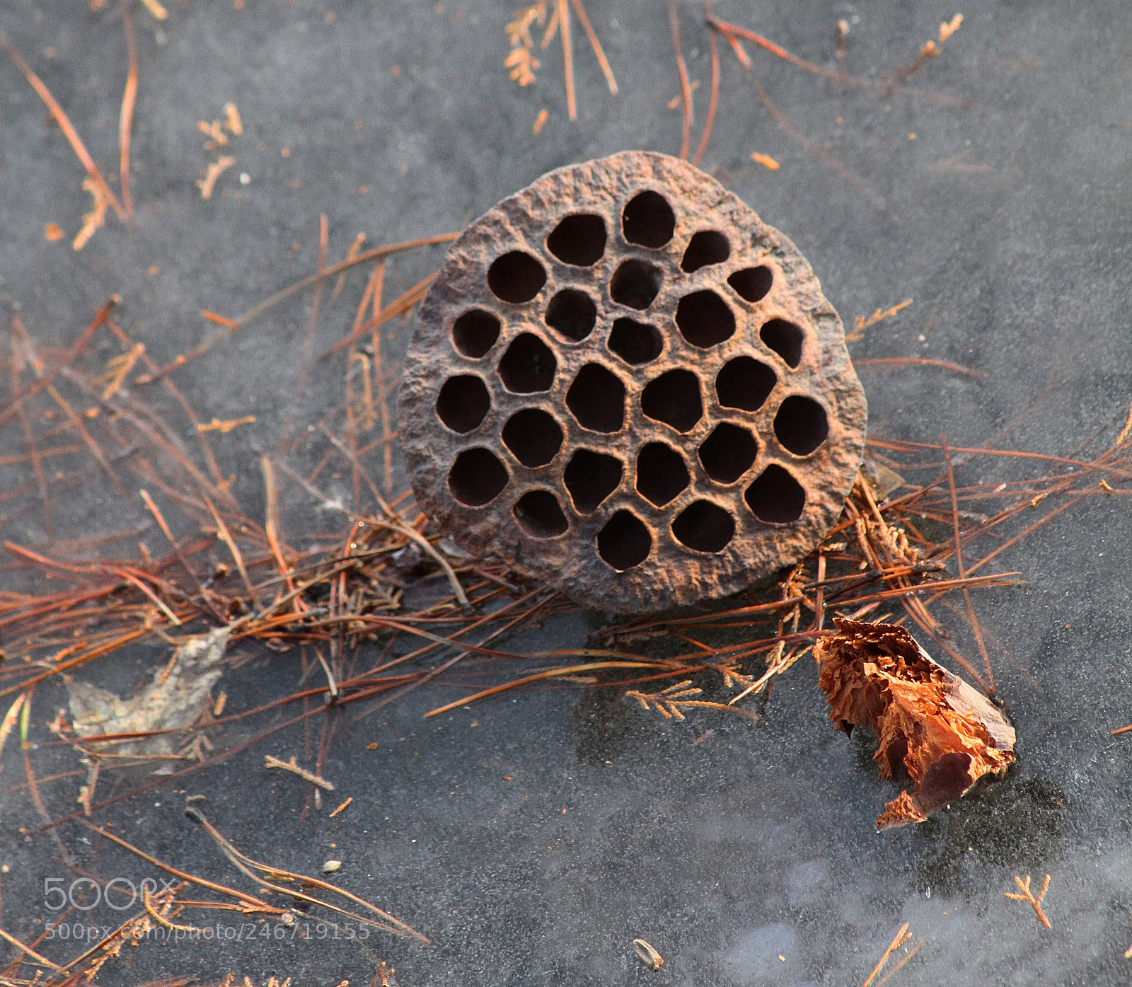 Canon EOS 7D sample photo. Frozen in time photography