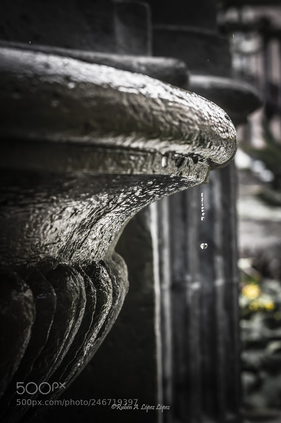 Nikon D7100 sample photo. Fuente photography